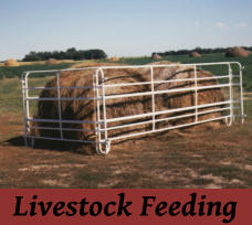 Livestock Feeding