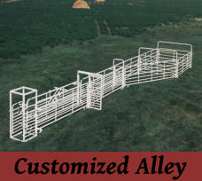 Customized Alley