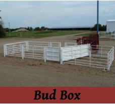 Bud Box
