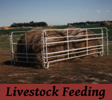 Livestock Feeding