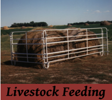 Livestock Feeding