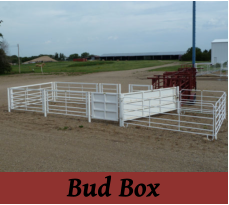 Bud Box